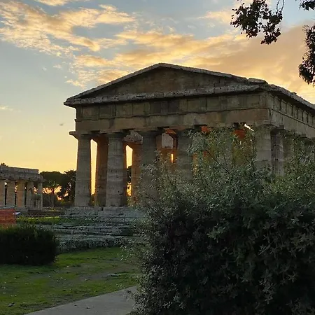 Dint E Viche E Napule Napoli